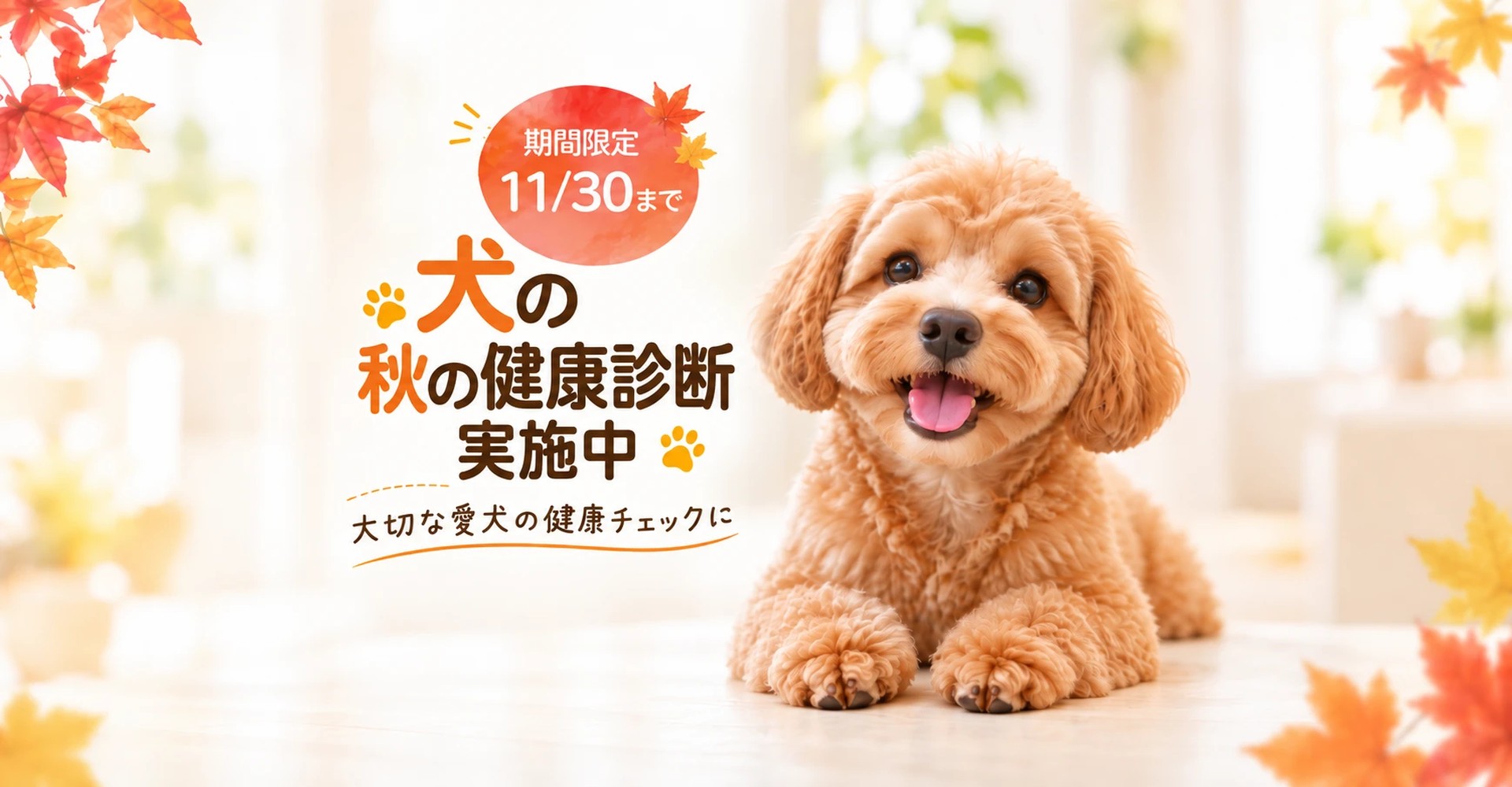 たいち動物病院 秋の健康診断実施中